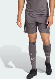 adidas Real Madrid 2024/2025 Ausweichshorts charcoal (Herren)