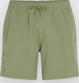 O'Neill Cali Ocean 16" Badeshorts avery fern (Herren)