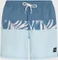 O'Neill Cali Block 15" Badeshorts (Herren) Vorschaubild