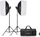 Godox Studio Kit MS200V-F