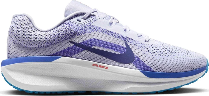 Nike Winflo 11 (Herren)