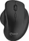 C-Tech WLM-14 Wireless Dual-Mode Ergo Mouse schwarz, USB/Bluetooth Vorschaubild