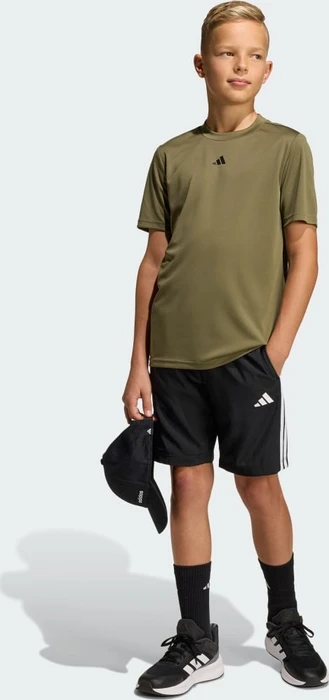 adidas Train Essentials Logo Regular Fit Funktionsshirt kurzarm olive strata/black (Junior)