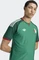 adidas FIFA WM 2026 Algerien Authentic Auswärtstrikot kurzarm court green (Herren) Vorschaubild