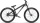 Radio Bikes Griffin Pro