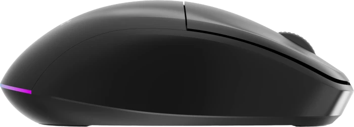 Gembird Dual-Mode 6-Button Wireless Mouse schwarz, USB/Bluetooth