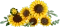 LEGO Botanicals - Sonnenblumen Vorschaubild