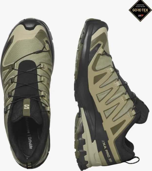 Salomon XA Pro 3D V9 GTX dried herb/black/olive night (Herren)