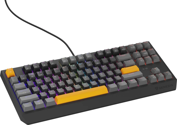 Genesis Thor 230 TKL, Anchor Gray Positive, LEDs RGB, hot-swap, Outemu Red, USB, US