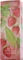 Elizabeth Arden Green Tea Strawberry Basil Eau de Toilette Vorschaubild