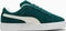 Puma Suede XL dark myrtle/warm white Vorschaubild