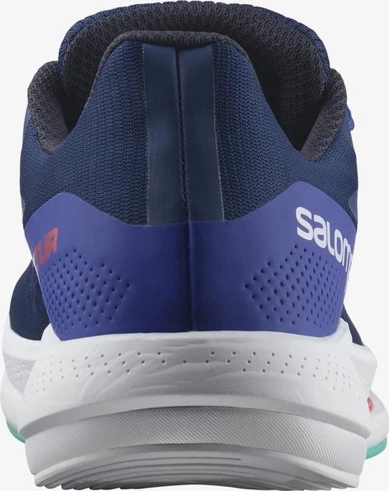 Salomon Spectur estate blue/dazzling blue/mint leaf (Herren)