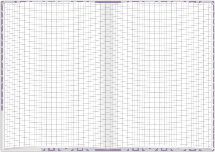 RNK-Verlag Notizbuch, A5, kariert, Hardcover, Berry, 96 Blatt (46802)