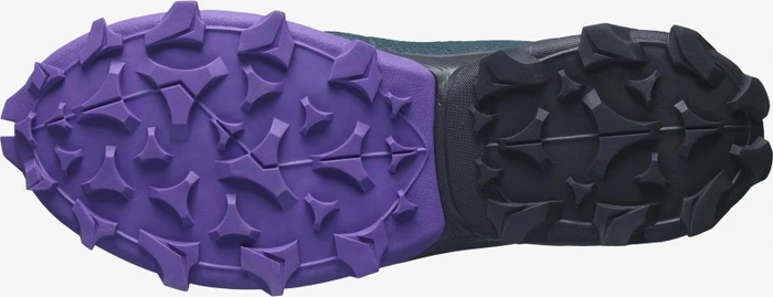 Salomon Cross Over GTX ponderosa pine/black/royal lilac (Damen)