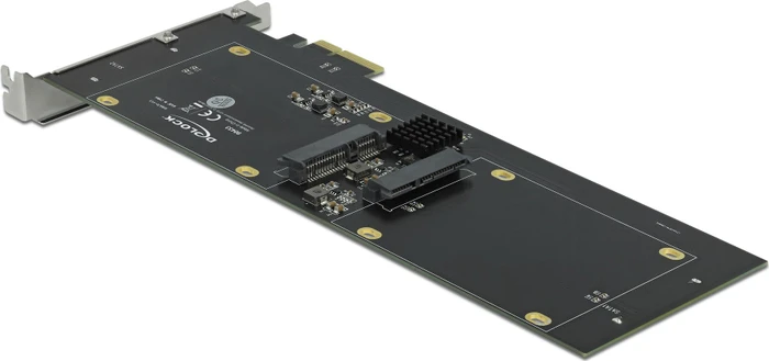 DeLOCK PCIe -> 4x 2.5" HDD/SSD