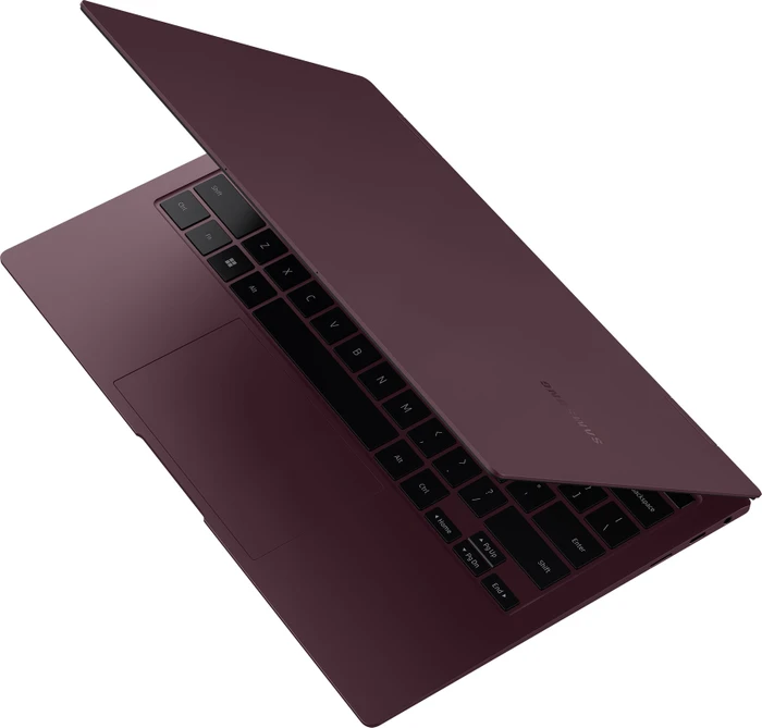 Samsung Galaxy Book2 Pro 360 13, Burgundy, Core i5-1240P, 8GB RAM, 256GB SSD, DE