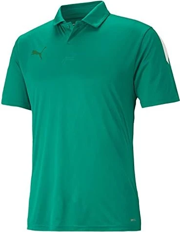 Puma teamLIGA Sideline Poloshirt kurzarm pepper green/puma white (Herren)