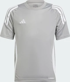 adidas Tiro 24 Trikot kurzarm team mid grey/white (Junior)