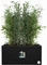Elho Vivo Next Blumentopf Vorschaubild