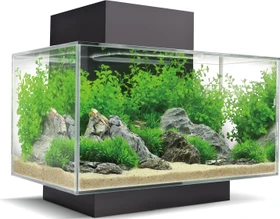 Fluval Edge 2.0 Aquarium-Set, schwarz, 23l