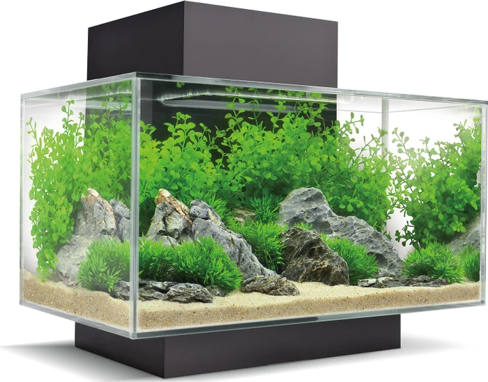 Fluval Edge 2.0 Aquarium-Set, schwarz, 23l
