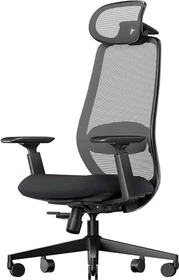 ProtoArc EC200 Bürostuhl, Armlehnen, grau