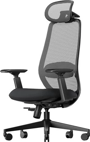 ProtoArc EC200 Bürostuhl, Armlehnen, grau