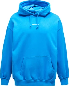 Peak Performance Original Terry Hoodie brilliant blue (Herren)