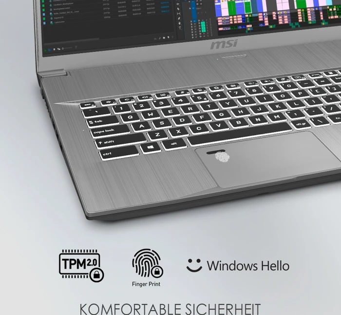 MSI WF75 10TJ-217 Mobile Workstation WF75 10TJ-217, Space Grey, Core i7-10750H, 32GB RAM, 1TB SSD, Quadro T2000, DE