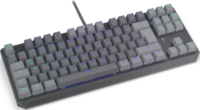 Endorfy Thock V2 TKL, PBT, grau, LEDs RGB, hot-swap, Endorfy RED, USB, DE