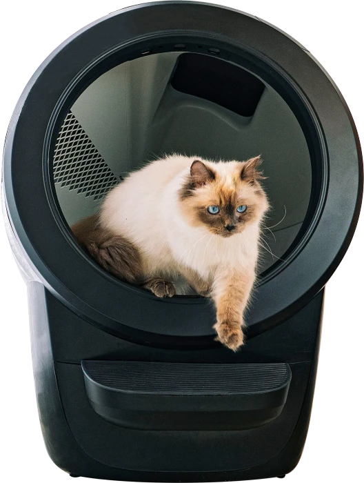Whisker Litter-Robot 4, selbstreinigend, schwarz, 10.9kg