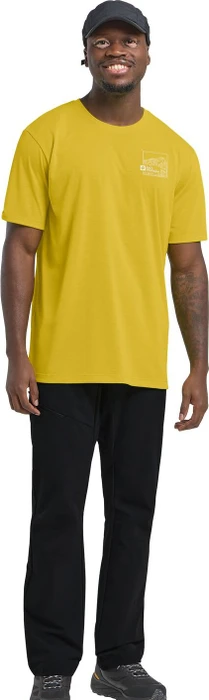 Jack Wolfskin Vonnan Graphic Funktionsshirt kurzarm peak trail chartreuse (Herren)
