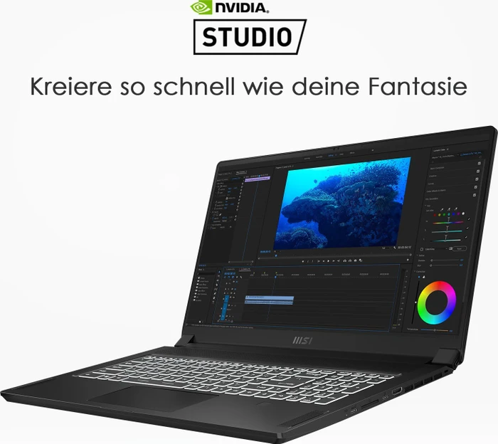 MSI Creator 17 B11UG-443, Core Black, Core i7-11800H, 32GB RAM, 1TB SSD, GeForce RTX 3070, DE