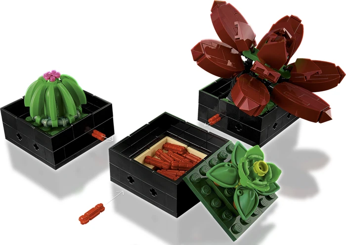 LEGO Botanicals - Sukkulenten