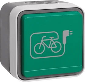 Berker W.1 Steckdose SCHUKO mit grünem Klappdeckel und Symbol E-Bike, grau/lichtgrau