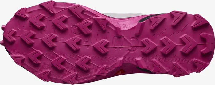 Salomon Supercross 4 GTX ashes of roses/black/very berry (Damen)