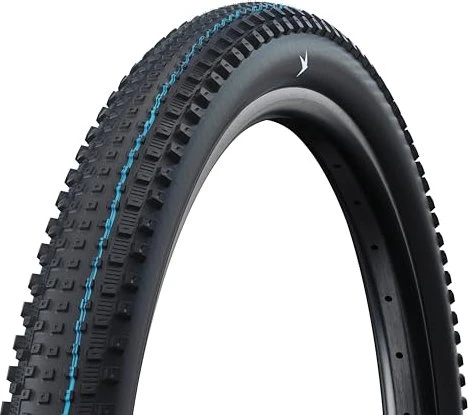 Schwalbe Rick 29x2.25" XC Pro Addix Speedgrip Reifen schwarz