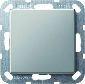 Gira System 55 Blindabdeckung mit Tragring, edelstahl