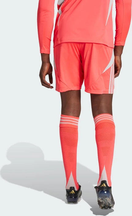 adidas Tiro 24 Shorts shock red (Herren)