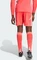 adidas Tiro 24 Shorts shock red (Herren) Vorschaubild