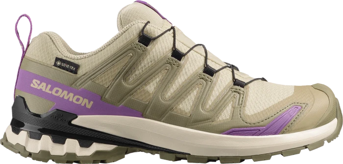 Salomon XA Pro 3D V9 GTX grisaille/tradewinds/spellbound (Damen)