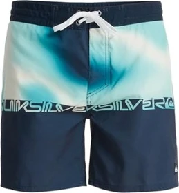 Quiksilver Everyday 16" Badeshorts dark navy wordblock (Herren)