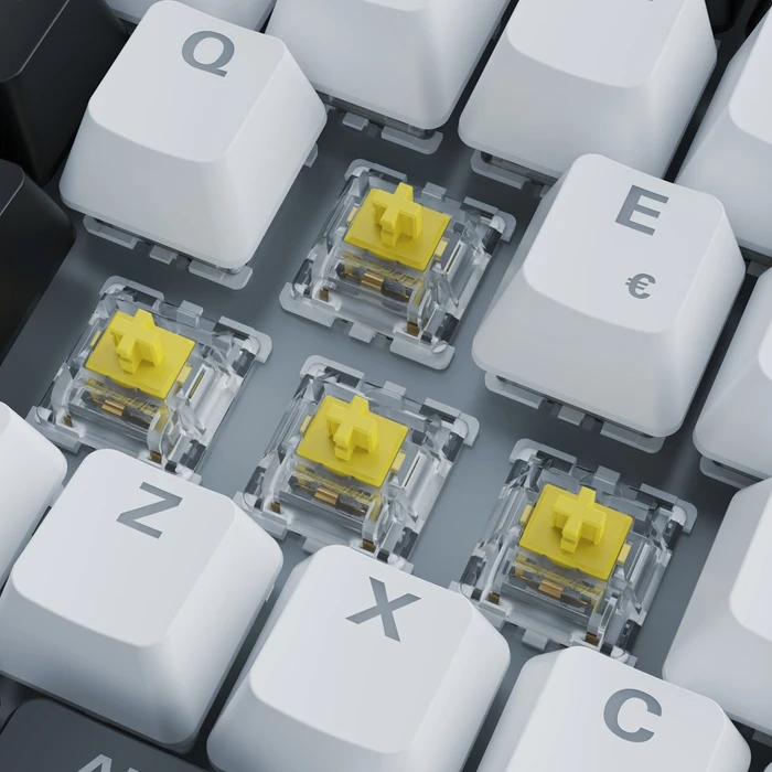 Sharkoon Skiller SGK50 S3 White, schwarz/weiß, LEDs RGB, hot-swap, Gateron YELLOW, USB, IT