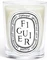 Diptyque Paris Figuier Duftkerze Vorschaubild