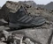 adidas Terrex Skychaser Mid GTX core black/grey two/grey six (Damen) Vorschaubild