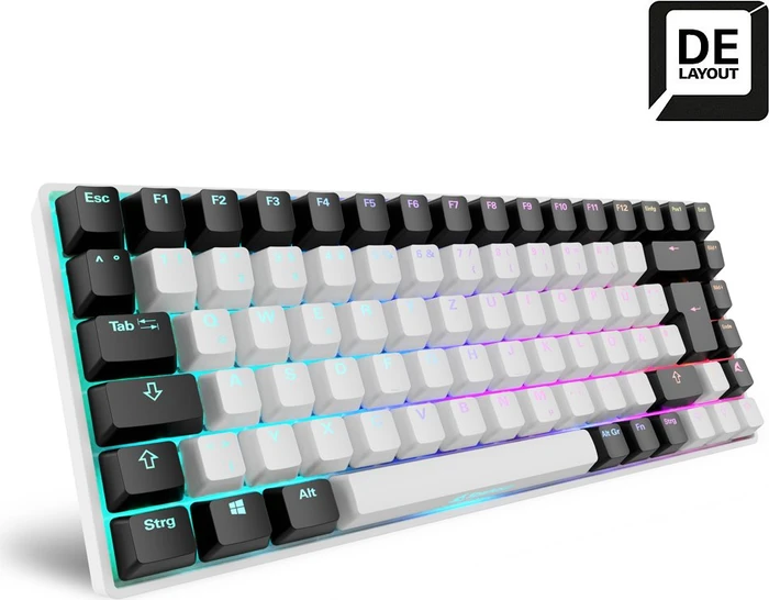 Sharkoon Skiller SGK50 S3 White, schwarz/weiß, LEDs RGB, hot-swap, Gateron RED, USB, DE