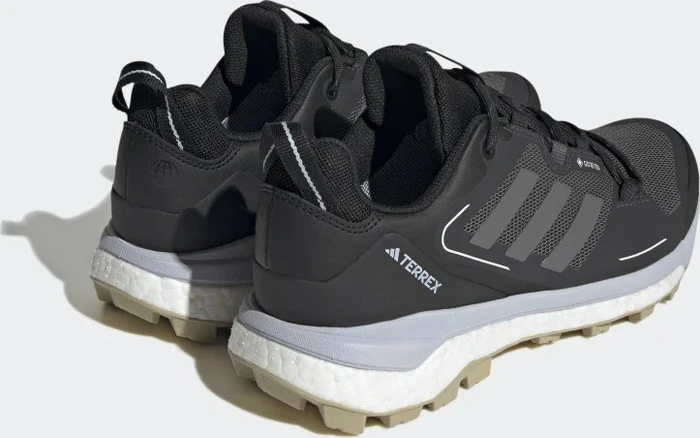 adidas Terrex Skychaser GTX 2.0 core black/halo silver/halo blue (Damen)