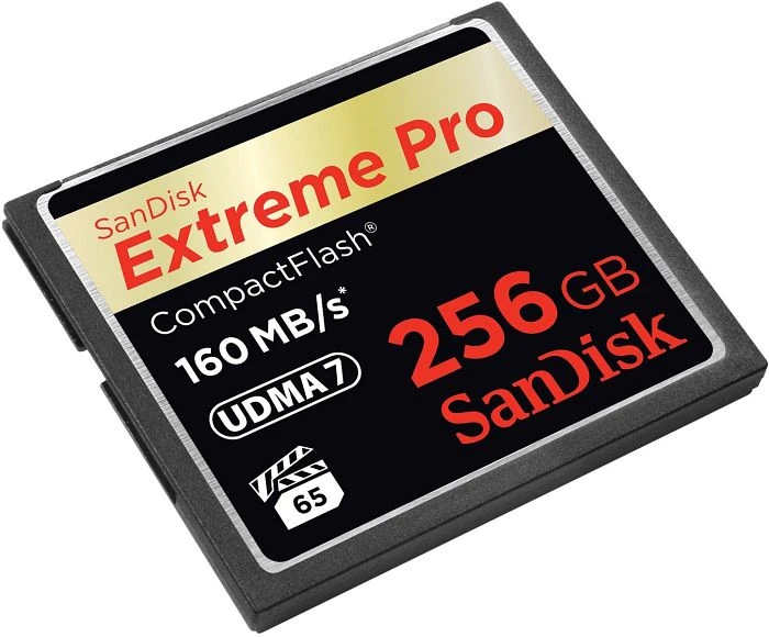 SanDisk Extreme PRO R160/W140 256GB