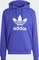 adidas Adicolor Classics Trefoil Hoodie energy ink (Herren) Vorschaubild