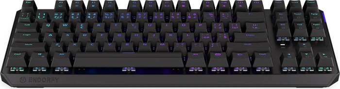 Endorfy Thock TKL Wireless, LEDs RGB, hot-swap, Kailh Box RED, USB/Bluetooth, CZ